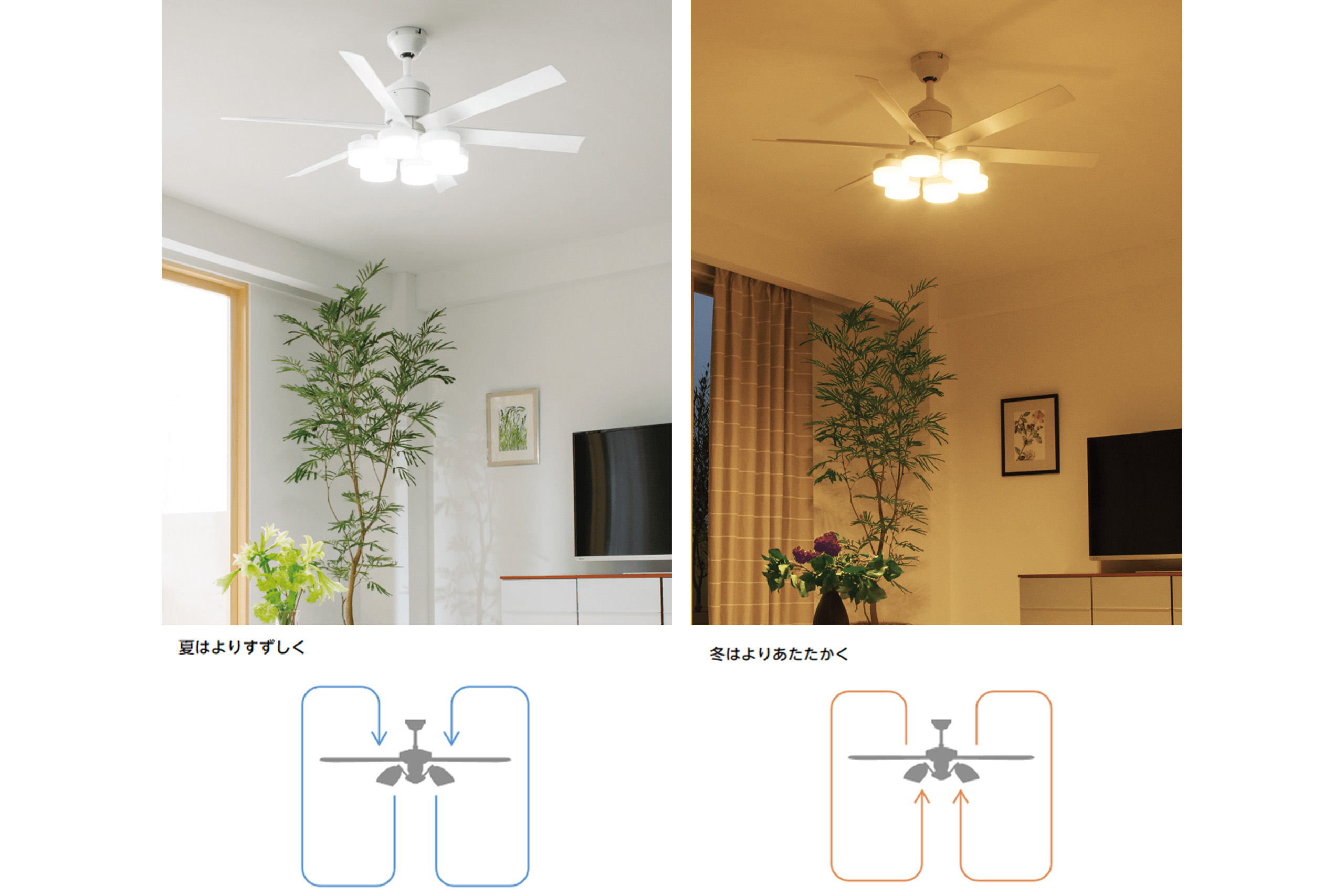 シーリングファン